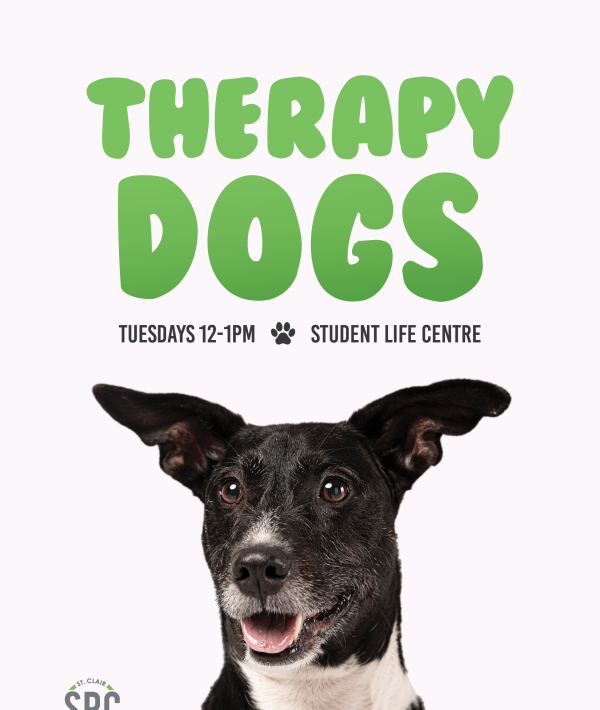 Therapy Dogs Fall 2026