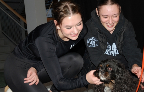 two students pet an adorable cocker spaniel 