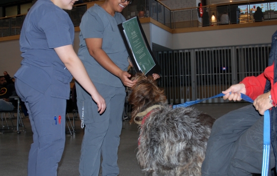 two students in scrubs smile as they pet a wire haired griffon