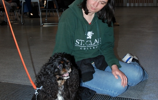 A student sits on the SLC floor with a cocker spaniel 