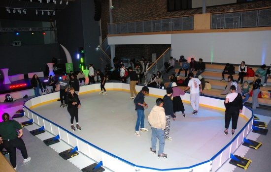 A view of the rink from above