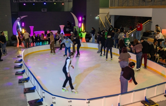 A view of the rink from above