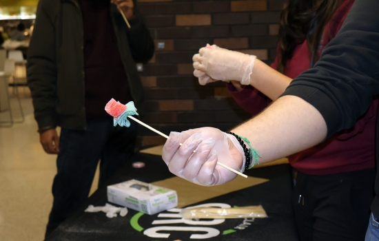 A closer look at a sour candy rose