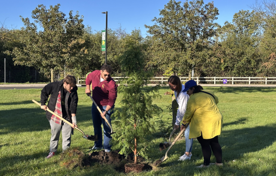 Planting a tree for Suicide Awareness