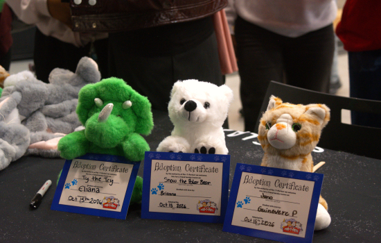 A close up of 3 besties with adoption certificates - a green dinosaur, a polar bear and an orange cat
