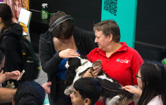 A student pets a Therapy Dog held by their handler